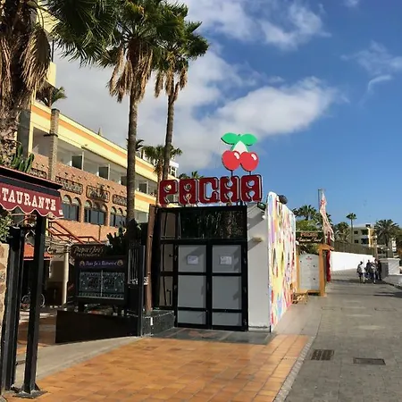 Las Olas Apartment San Bartolome de Tirajana (Gran Canaria)